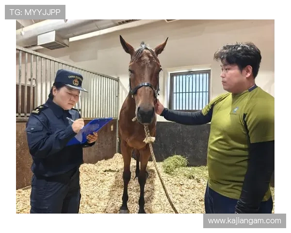 赛马会正规官网官方平台，保障用户资金安全与投注体验的最佳选择